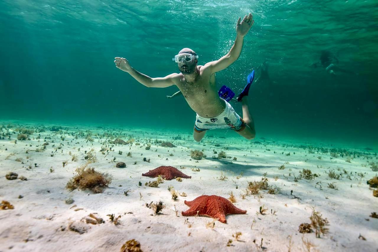 Albatros By Bedsfriends (Adults Only) Hotel Cozumel Luaran gambar