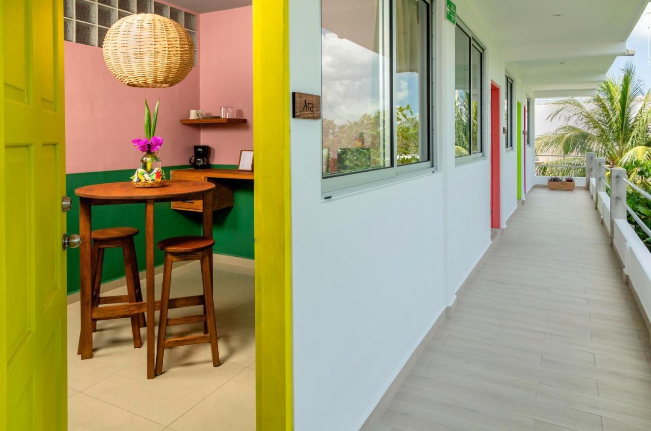 Albatros By Bedsfriends (Adults Only) Hotel Cozumel Luaran gambar